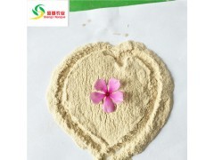 氮肥與飼料在農業中的應用與市場信息